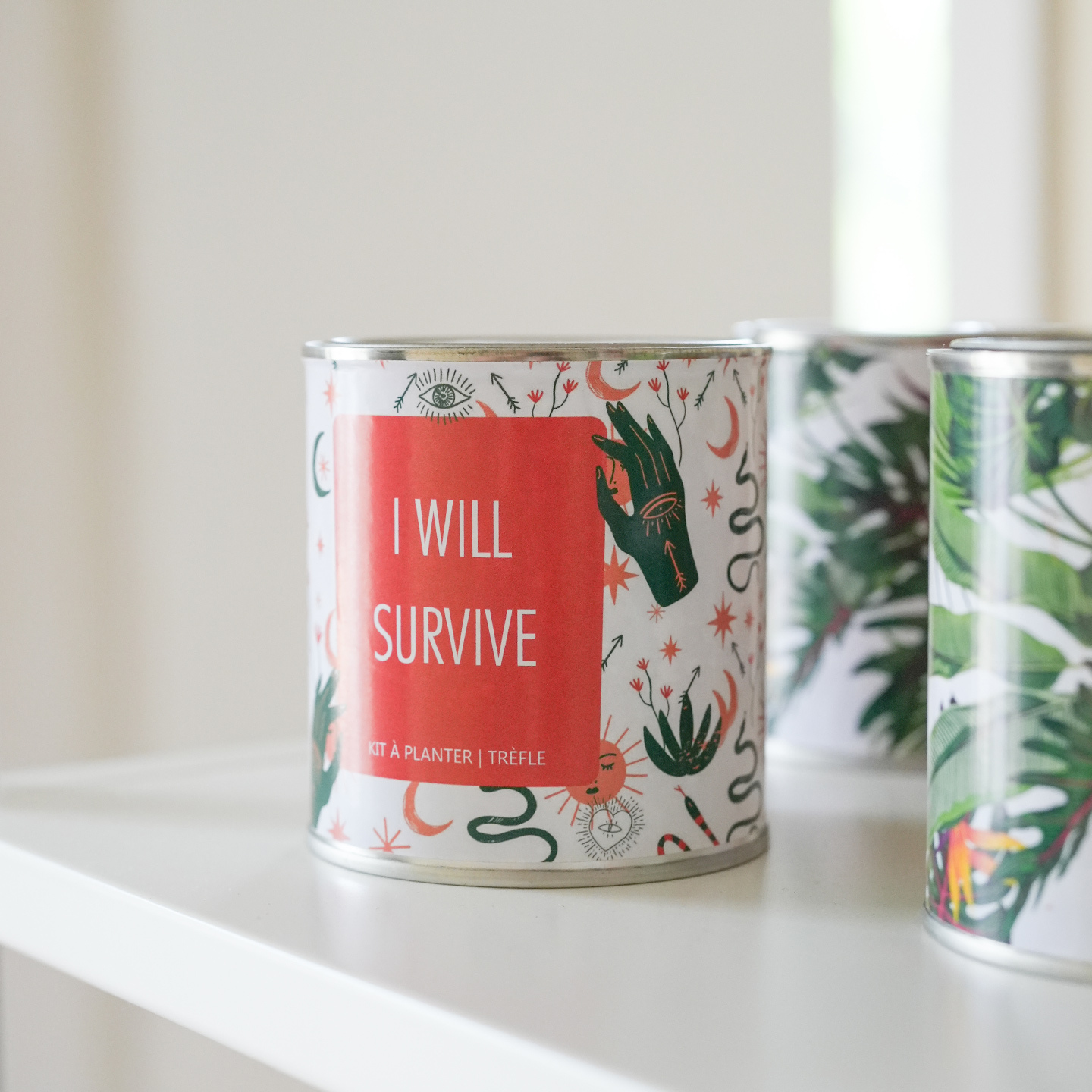 Kit à planter - I Will Survive