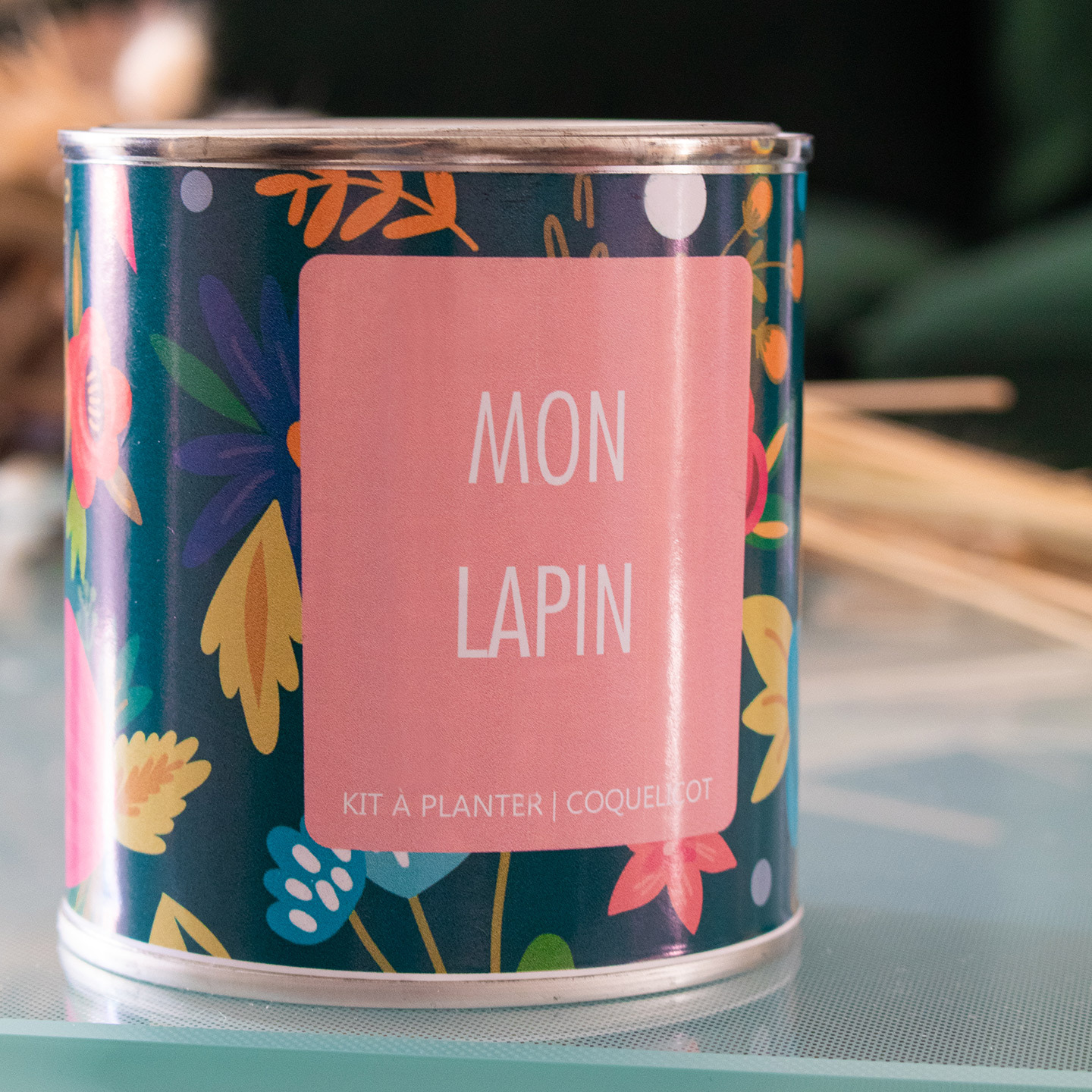 Kit à planter - Mon lapin